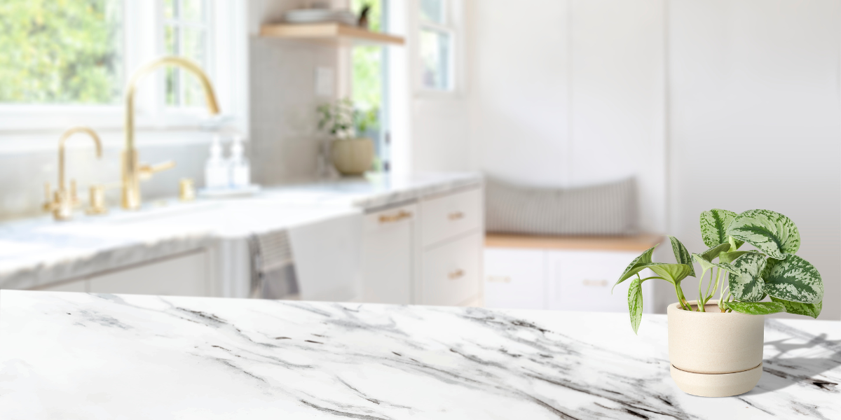View of 5 Reasons to Install Stone Countertops in New Construction Homes